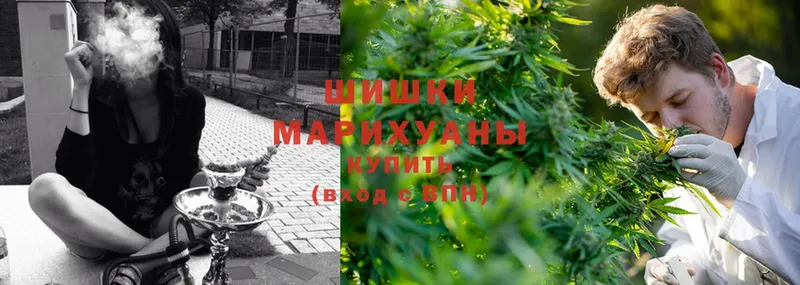 Бошки марихуана THC 21%  Дегтярск 